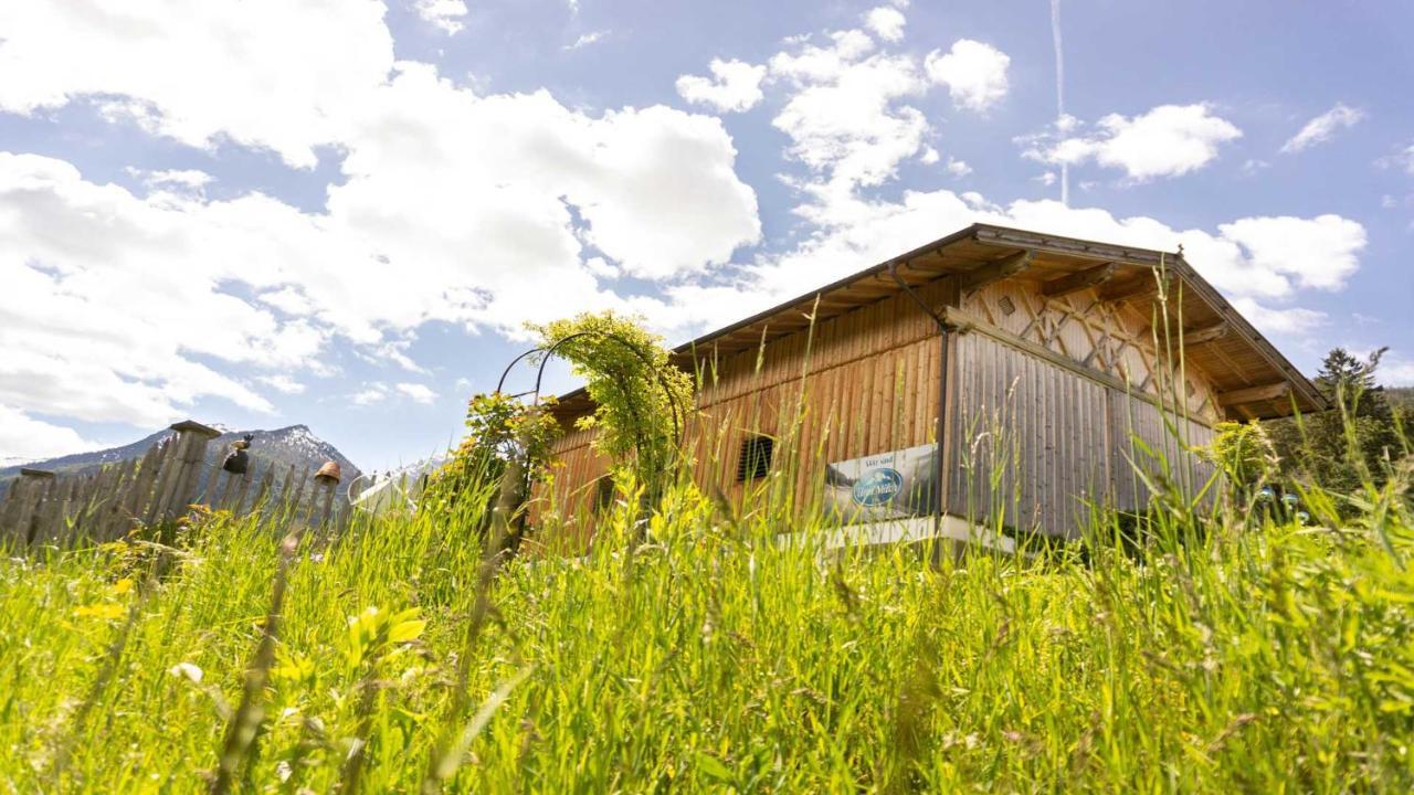 Apartment Stubaier Bauern Telfes im Stubai
